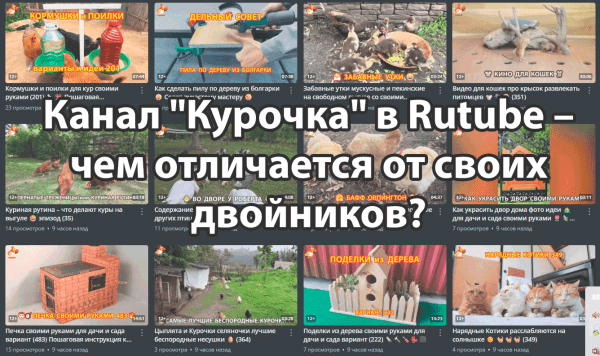 Канал "Курочка" в Rutube – чем отличается от своих двойников?