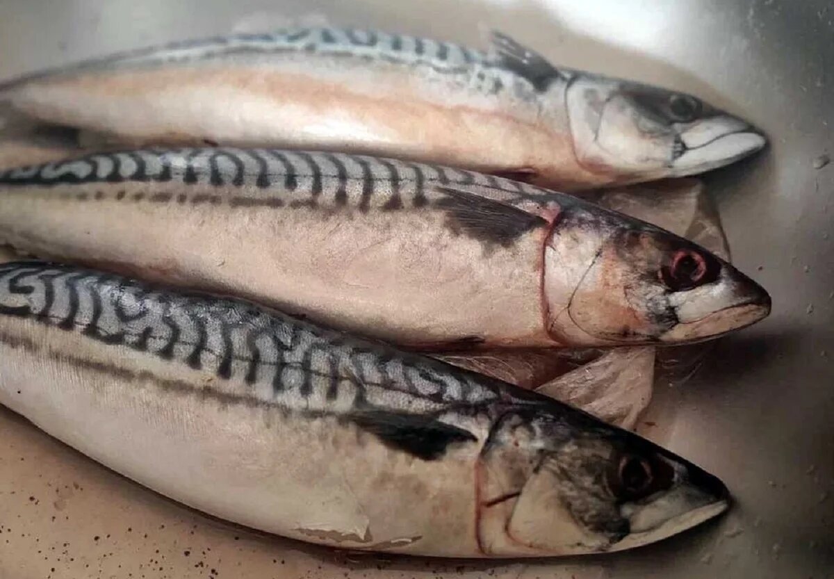 Фото: UfaTime.ru