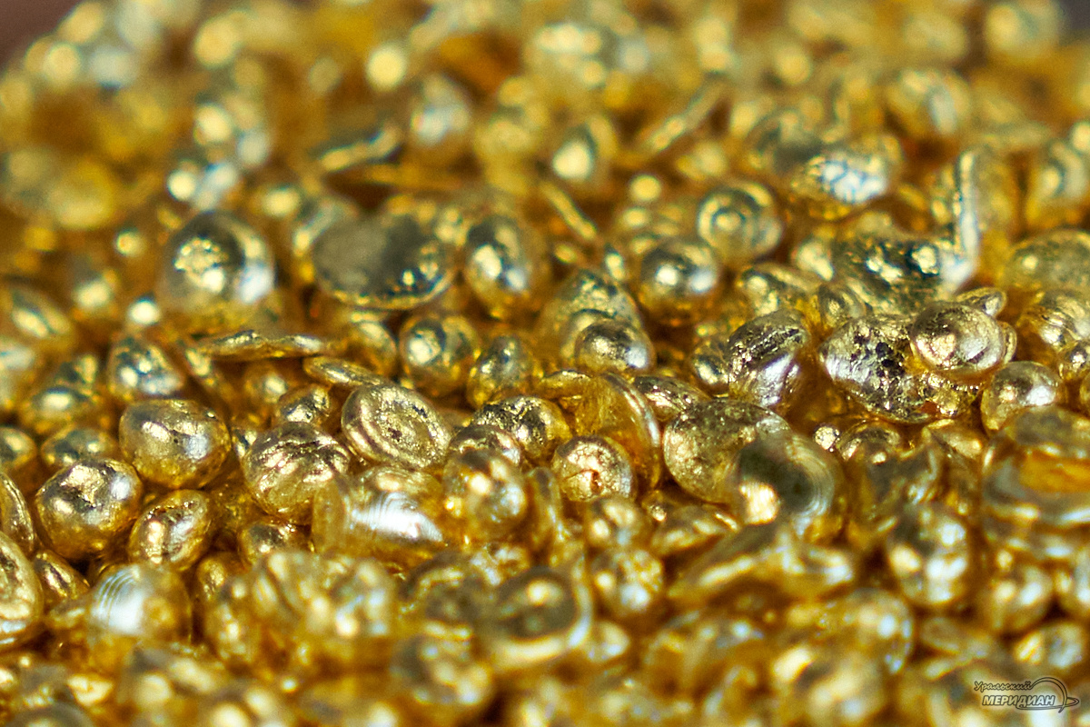    Фото: Лидия Аникина © ИА «Уральский меридиан»