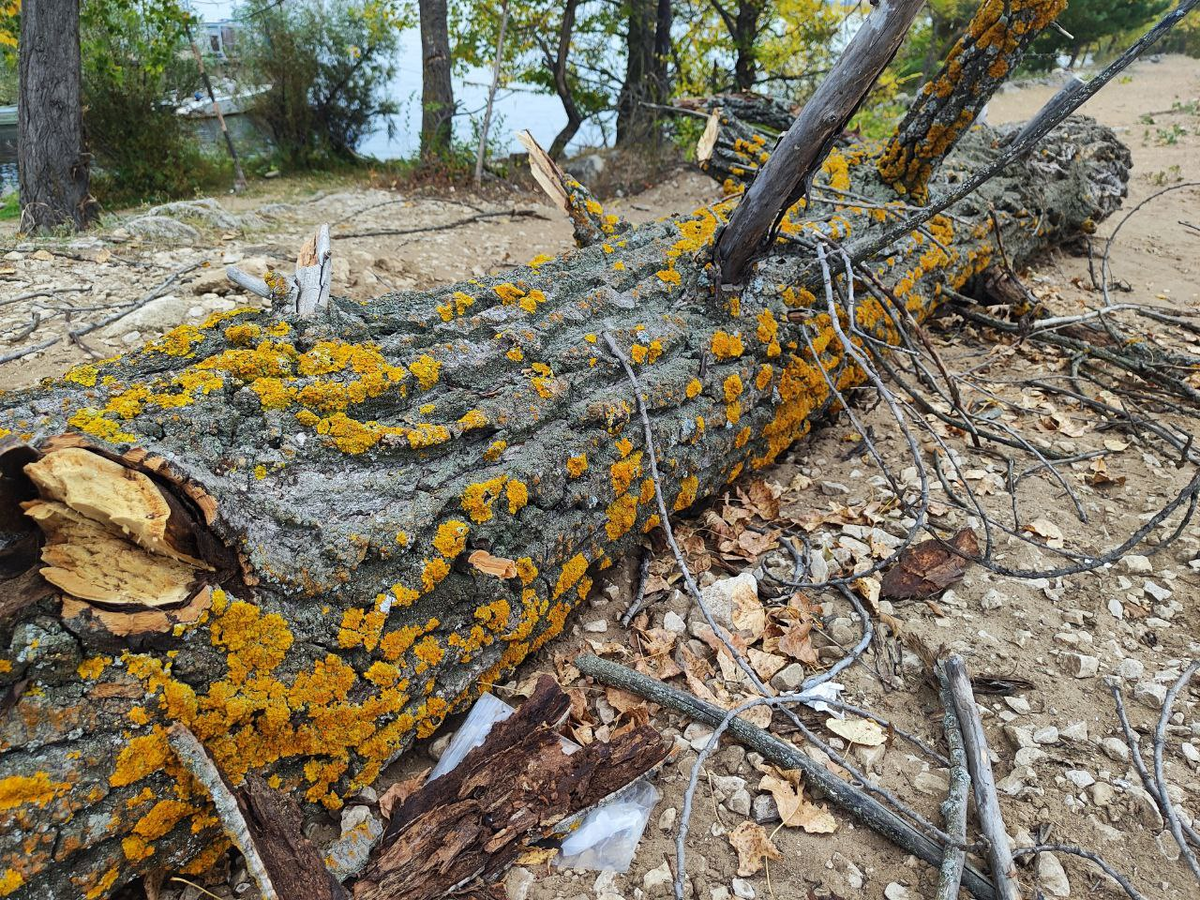 Фото автора.