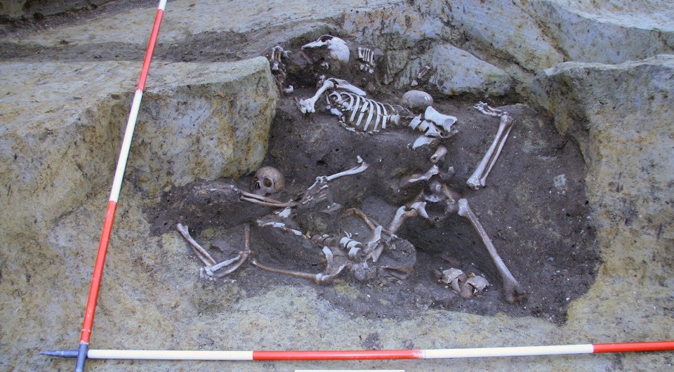   Mario Novak et al. / PLoS ONE, 2025