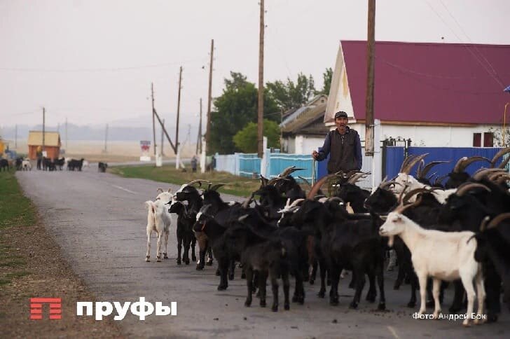    Фото: Пруфы