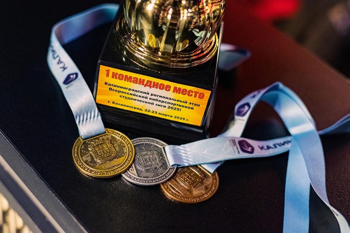 Фото: Елена Тишина