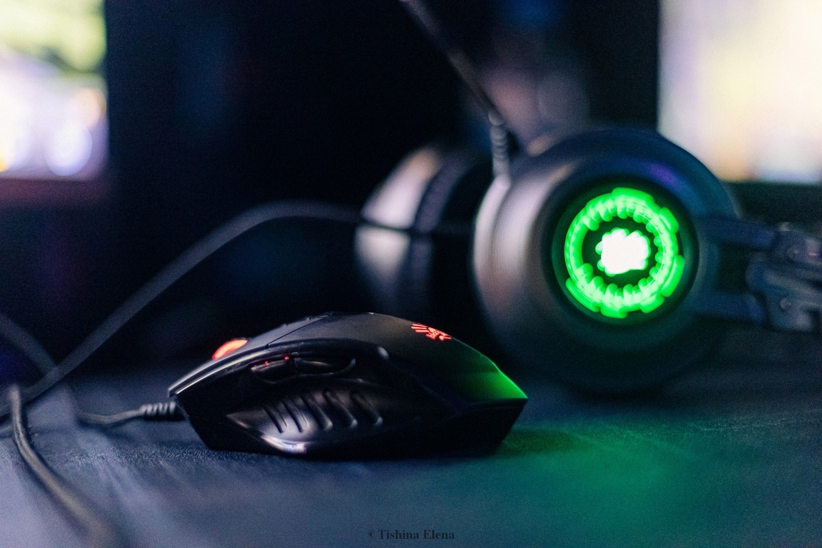 Фото: Елена Тишина