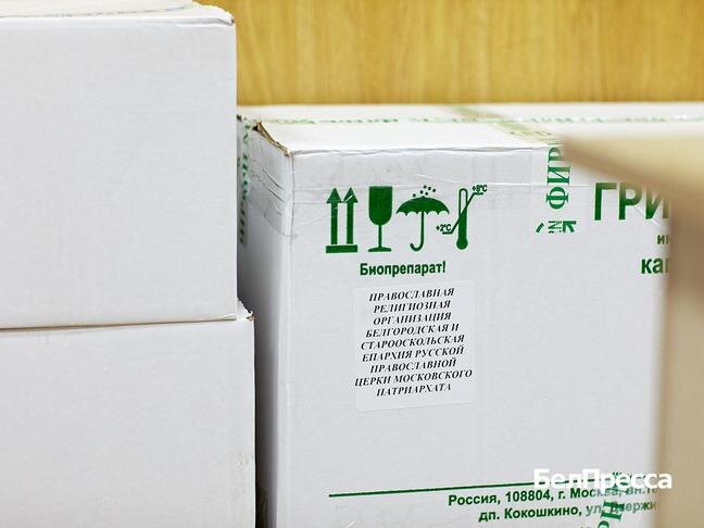 Фото: Елена Журавлёва