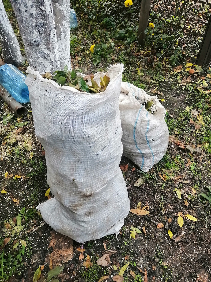 Два мешка насобирала травы.