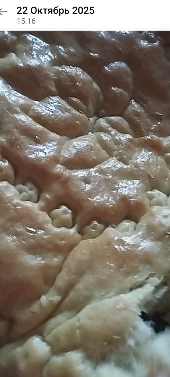 Вкусная лепешка.