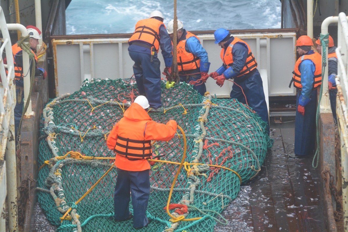 
Фото пресс-службы ВНИРО