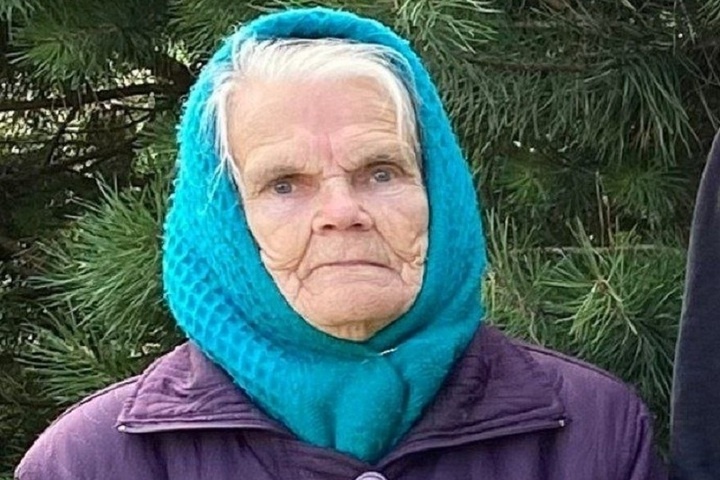В Тульской области ищут пропавшую 86-летнюю старушку