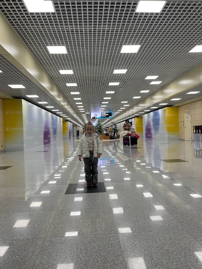 Домодедово, ждем очередной рейс