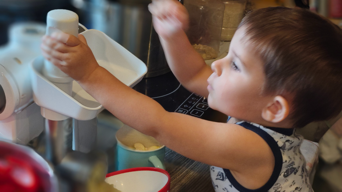 Мой помощник Лев (1 год 11 мес)