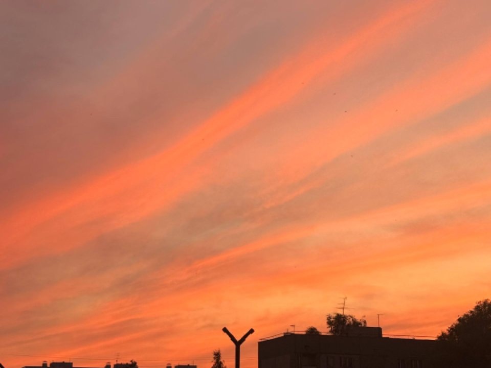    Фото: REGIONS/Дарья Кудинова