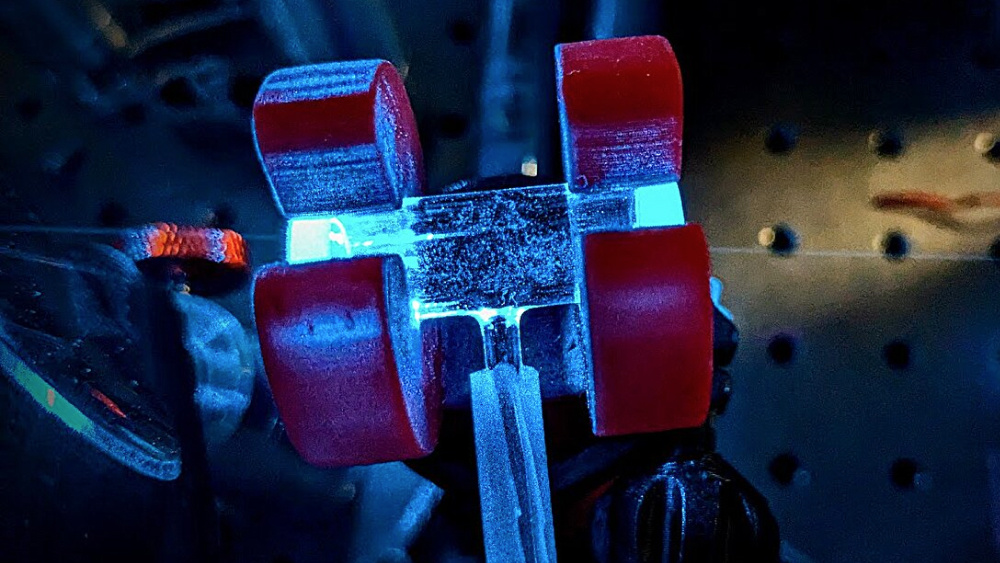 Фото: University of Warsaw