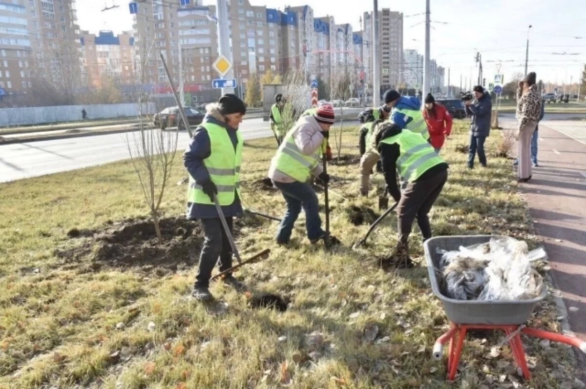    Бульвар Архитекторов в Омске превратится в зелёную аллею