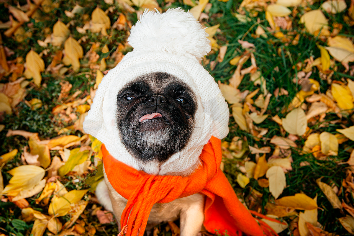 Фото freepik.com