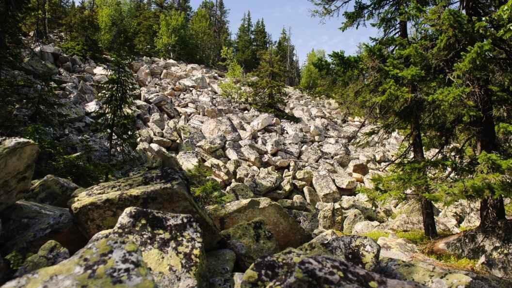    Фото: Dmitry Chasovitin/Global Look Press