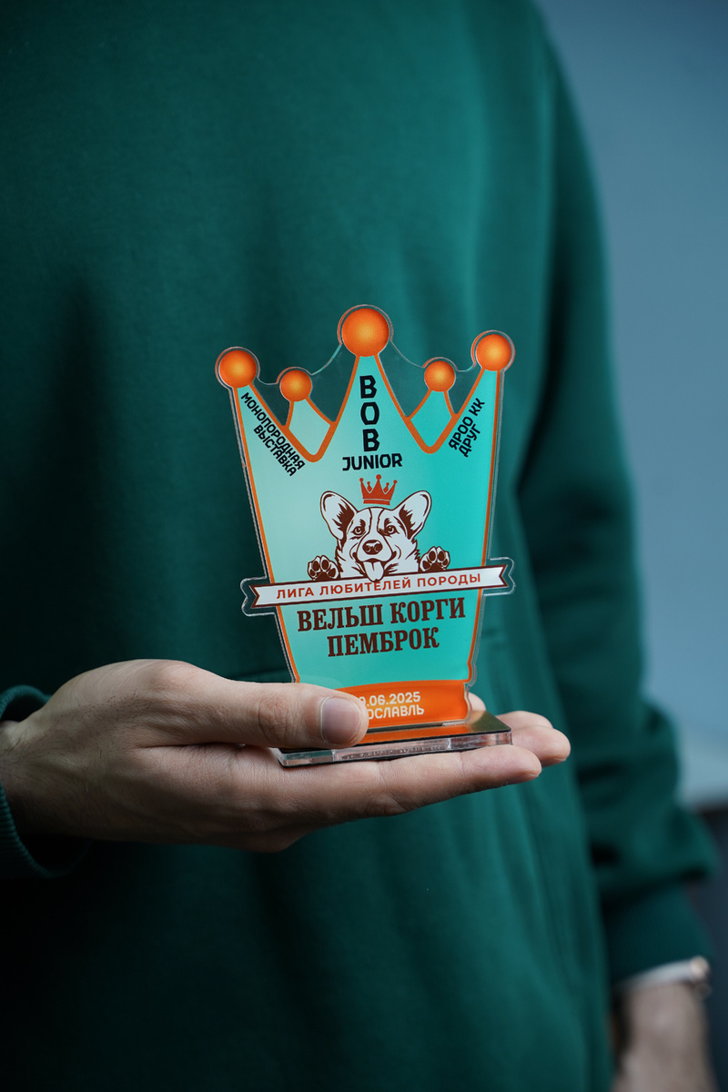 Акриловая статуэтка на заказ