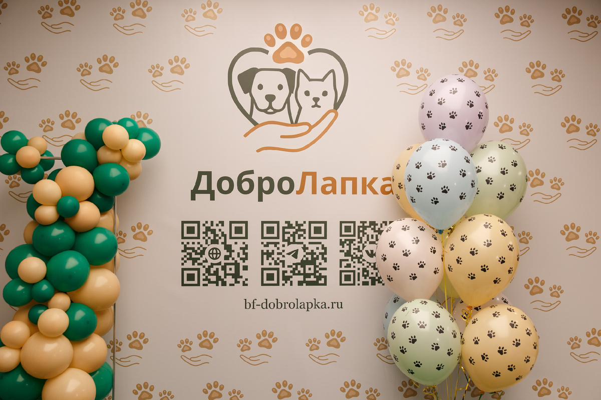 Благотворительный Фонд ДоброЛапка