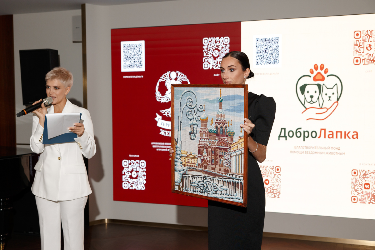 благотворительная акция — «Тёплая Лапа»