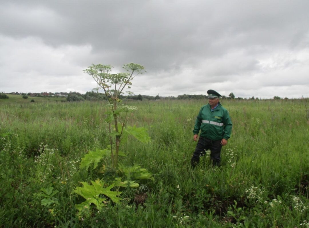 фото пресс-службы Россельхознадзора