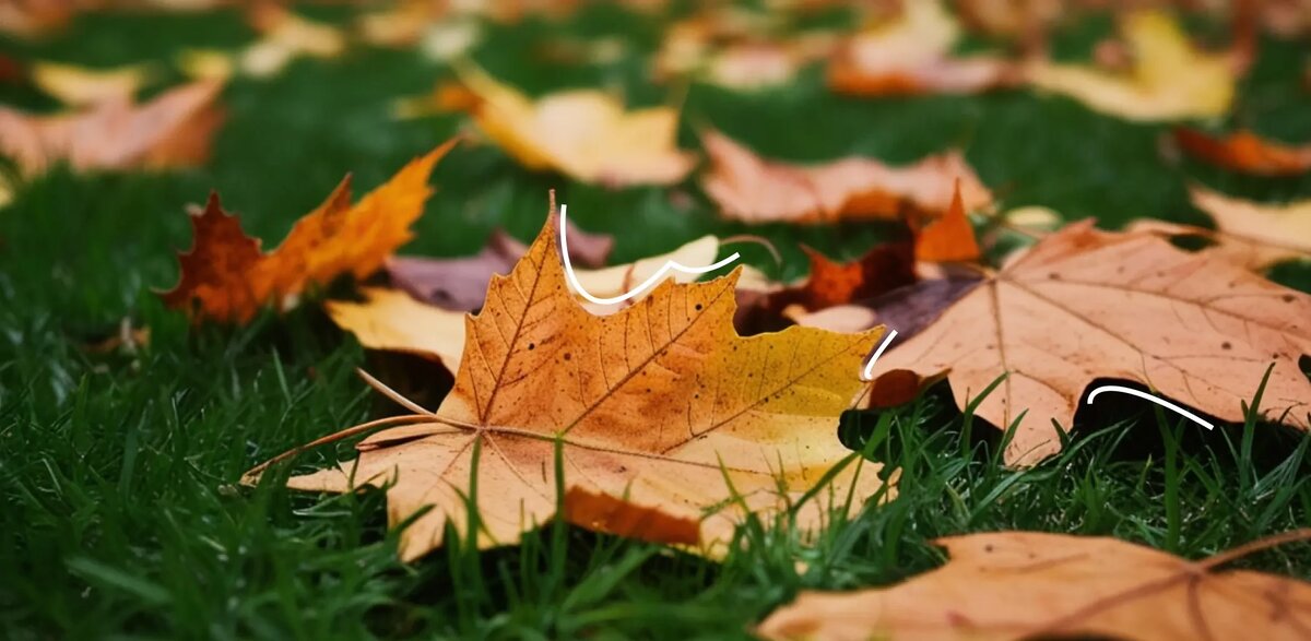 Источник: Авторский материал пользователя платформы. Источник фото: Leonardo.AI (https://leonardo.ai/)