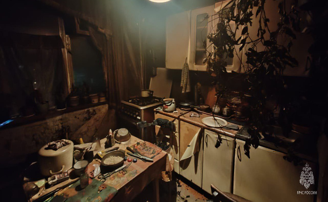    © Пресс-служба ГУ МЧС по Ленинградской области