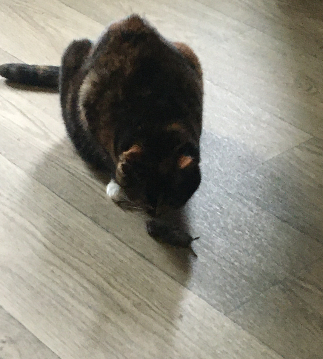 Добыча. Фото автора