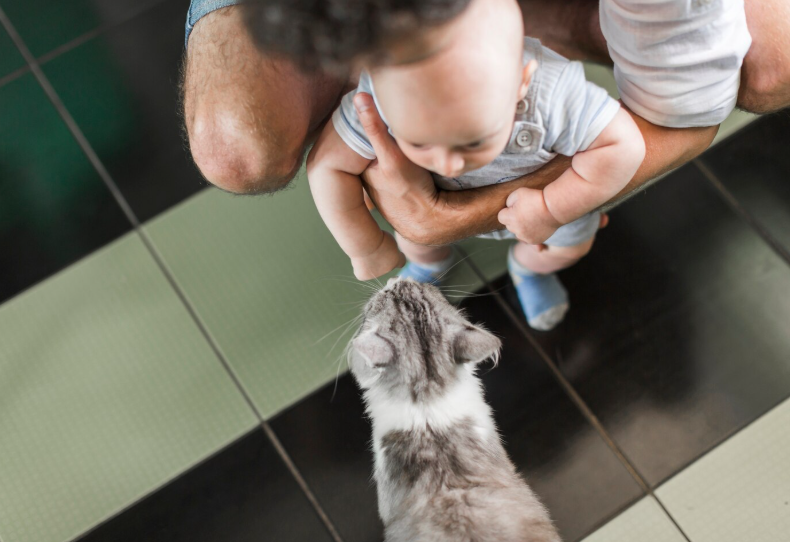 Фото с www.freepik.com