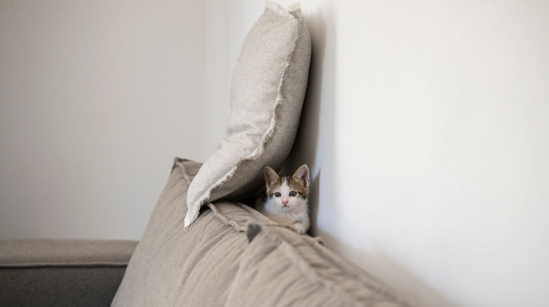 Фото с www.freepik.com