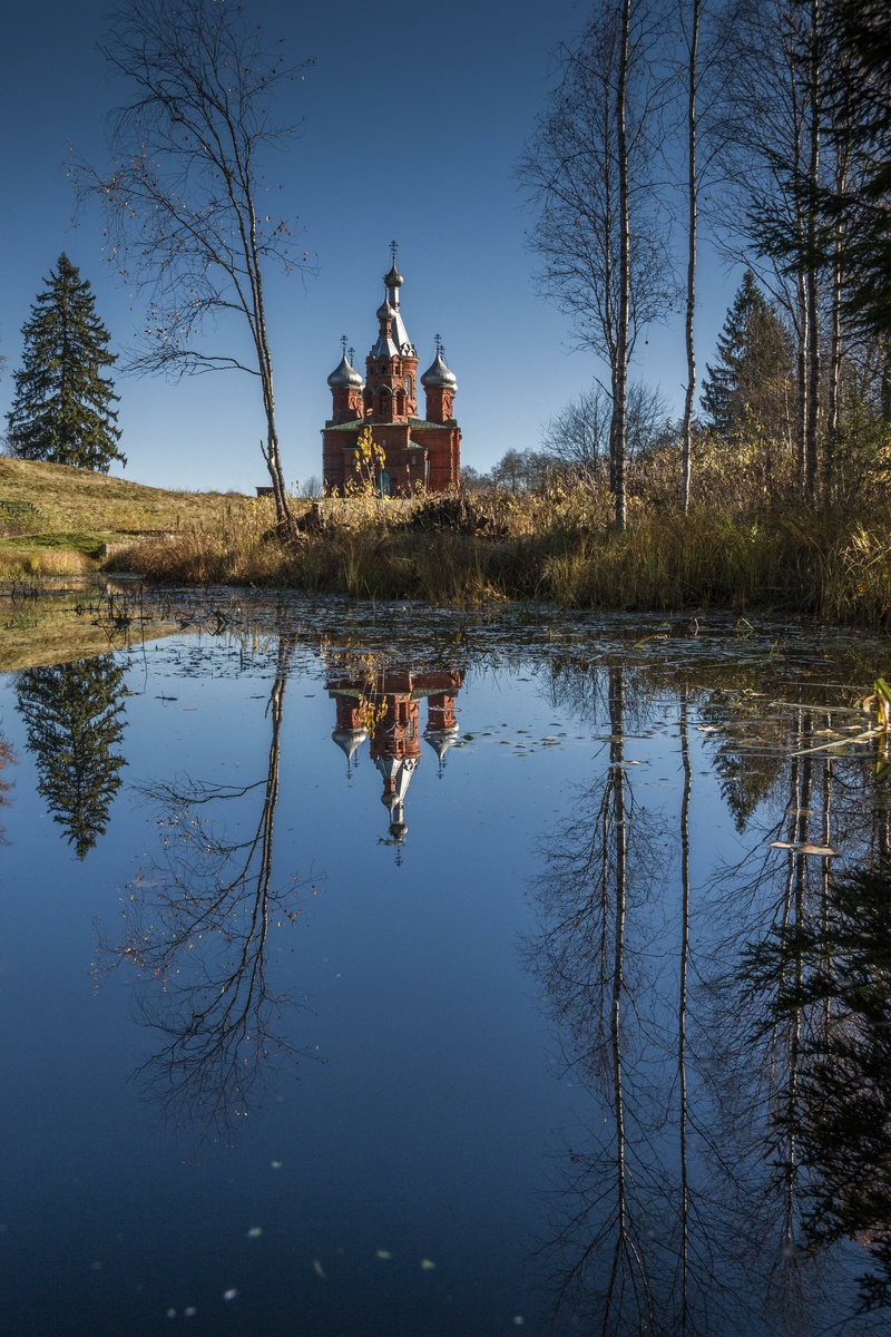 фото:Konstantin Kokoshkin/Russian Look/Global Look Press