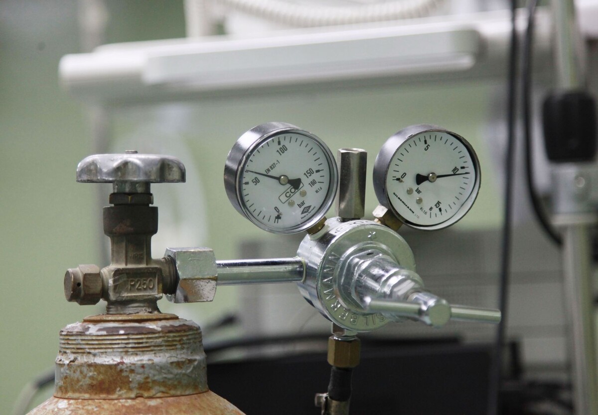     / Источник: © Global Look Press