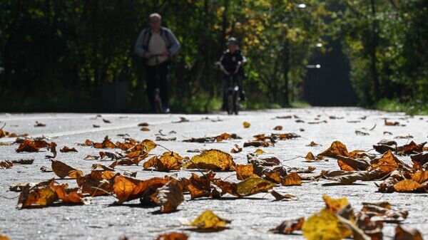    © Sputnik / Рамиль Ситдиков