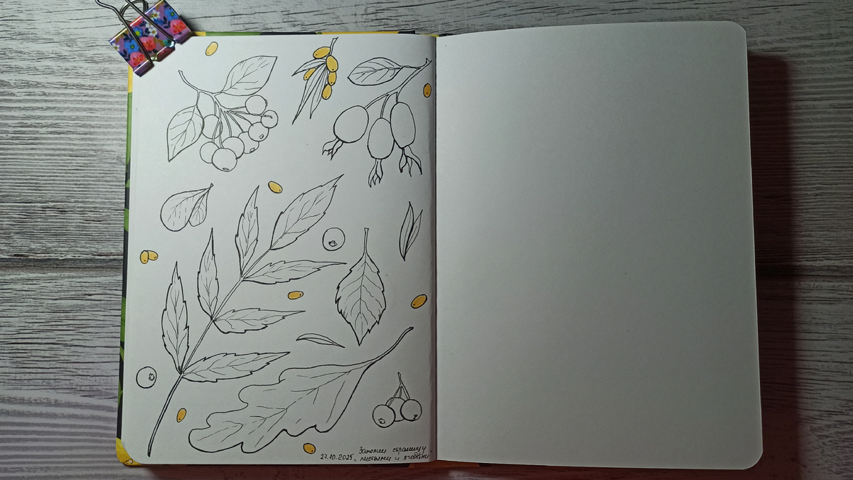 27 октября, страница листьев и ягод