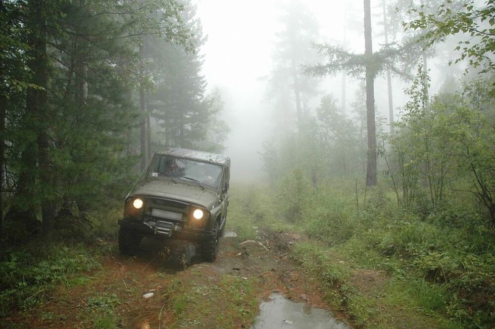 фото из интернета