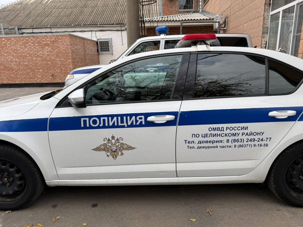    Фото: Госавтоинспекция РО Редактор