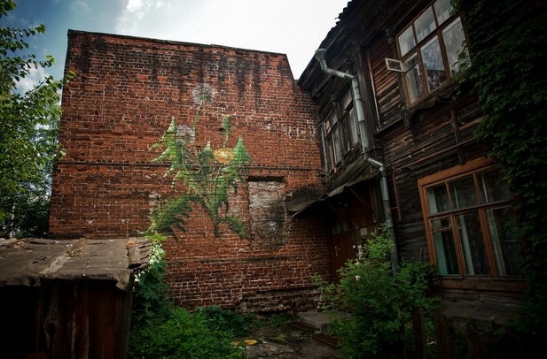 Филатов. Одуванчик. 2013.