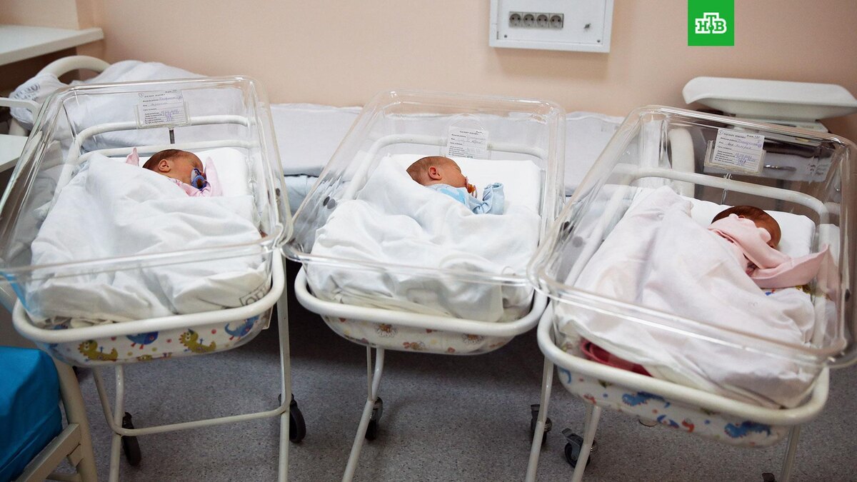    Фото: РИА Новости © 2025, Виталий Тимкив