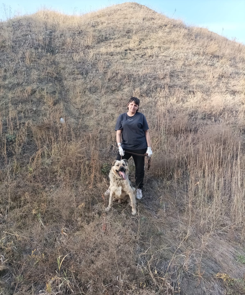 Такой он тут дуропляс😂, язык набок) 