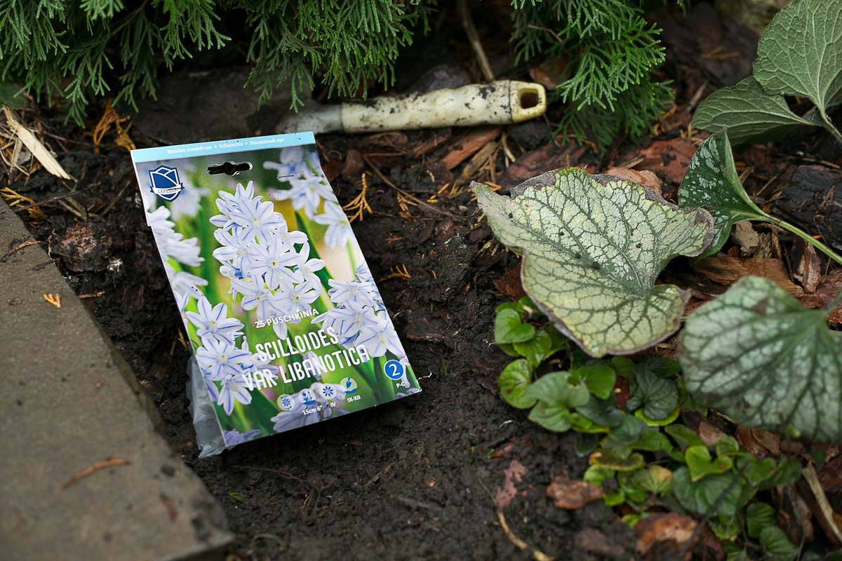 Автор фото Елена Якимова / Greenfingers