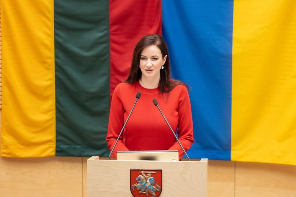    Премьер-министр Литвы: Мы готовы сбивать российские самолёты, но нужно понимать последствия