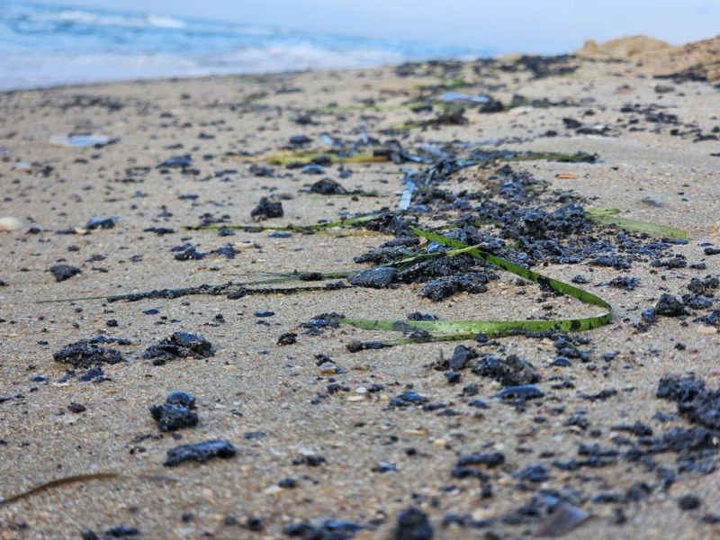    Анапу вновь ожидает мазутный удар