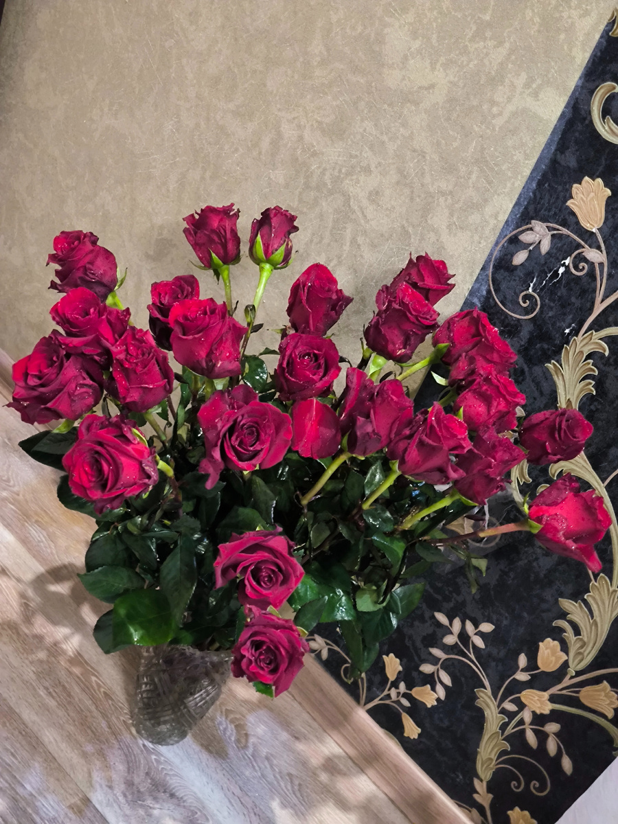 Все фотографии в статье авторские