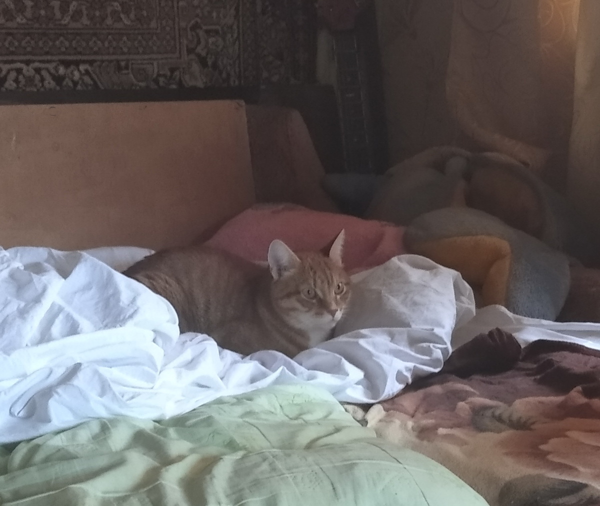 личное фото