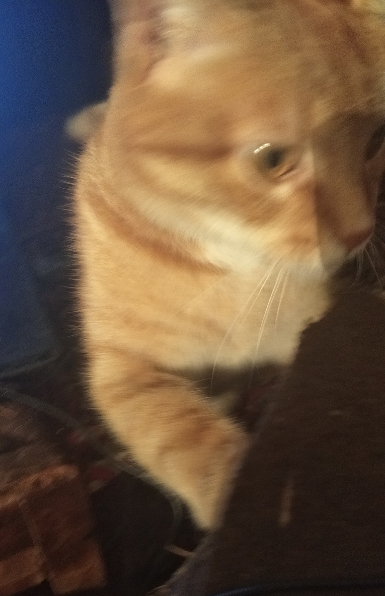 личное фото