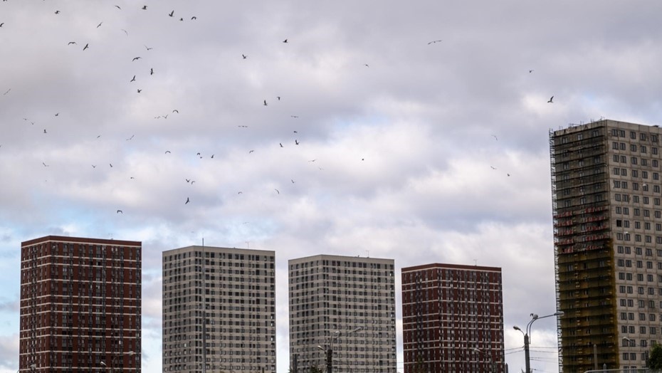 Автор фото: Михаил Тихонов / "Деловой Петербург"