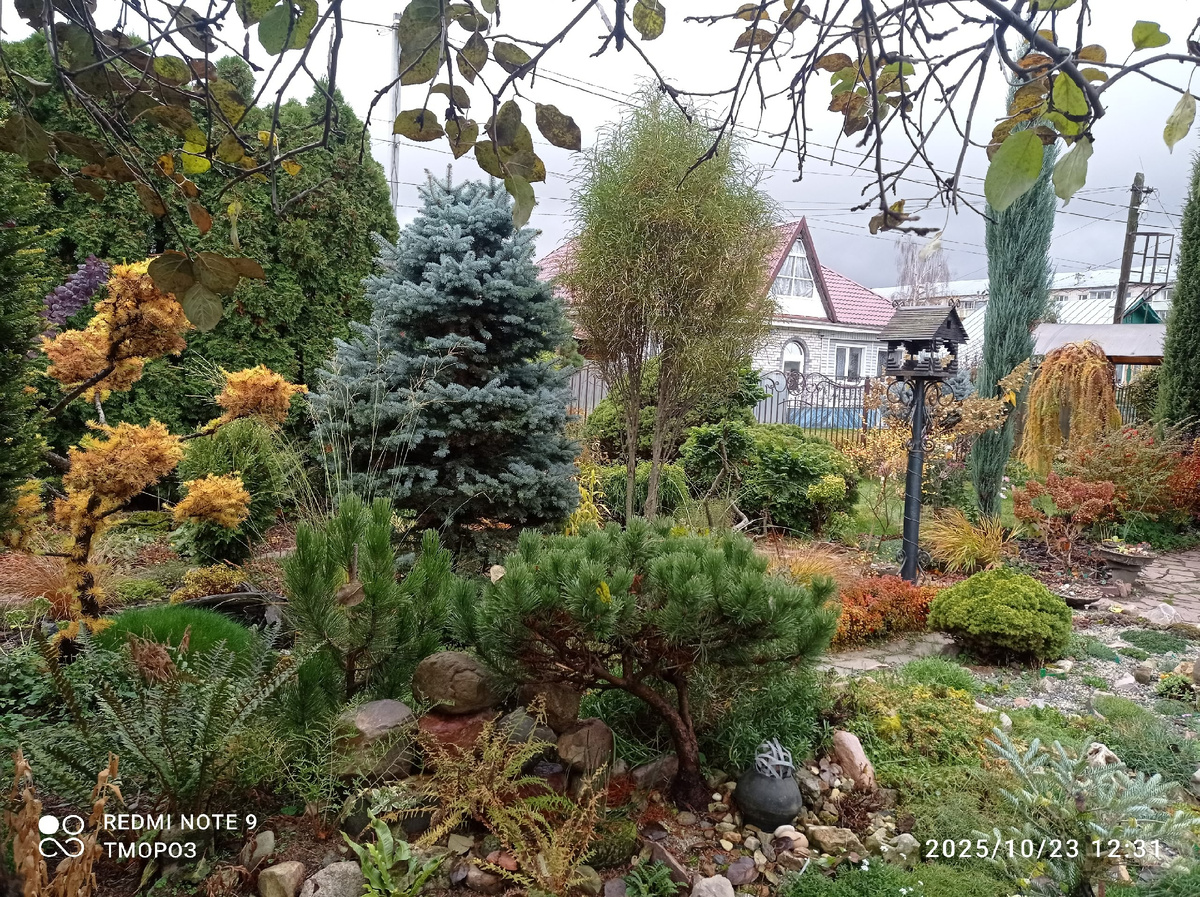 с другой сороны