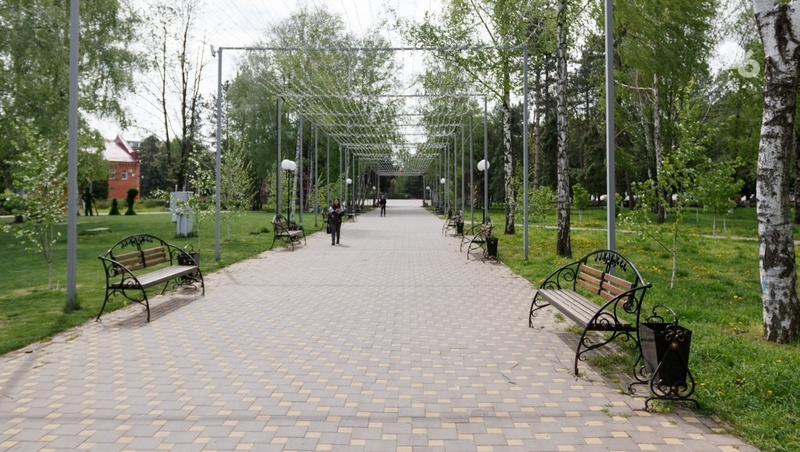    В 2026 году на Ставрополье по губернаторской программе планируют реализовать 148 проектов Фото: ИА «Победа26»