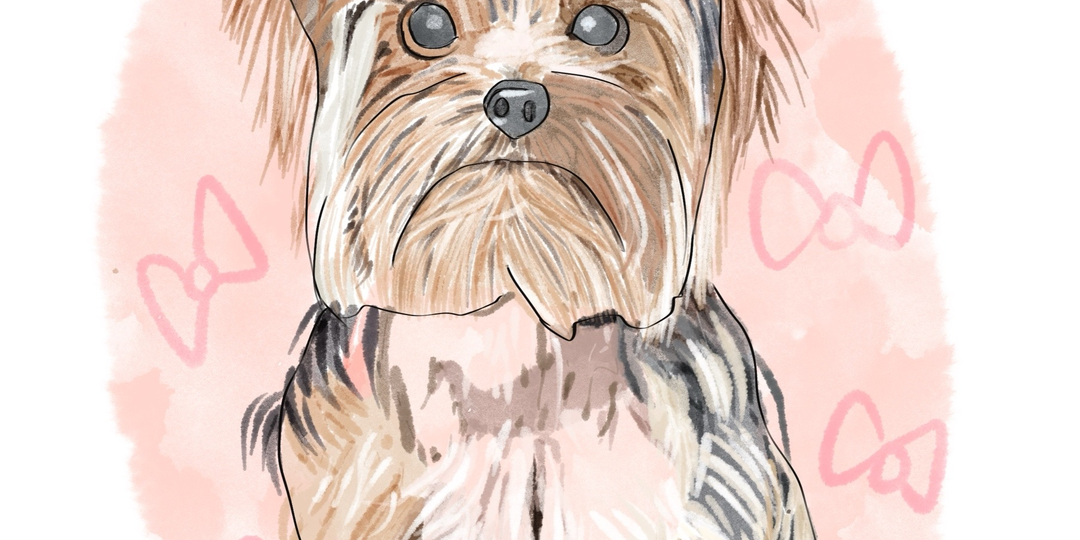 Не только учиться рисовать