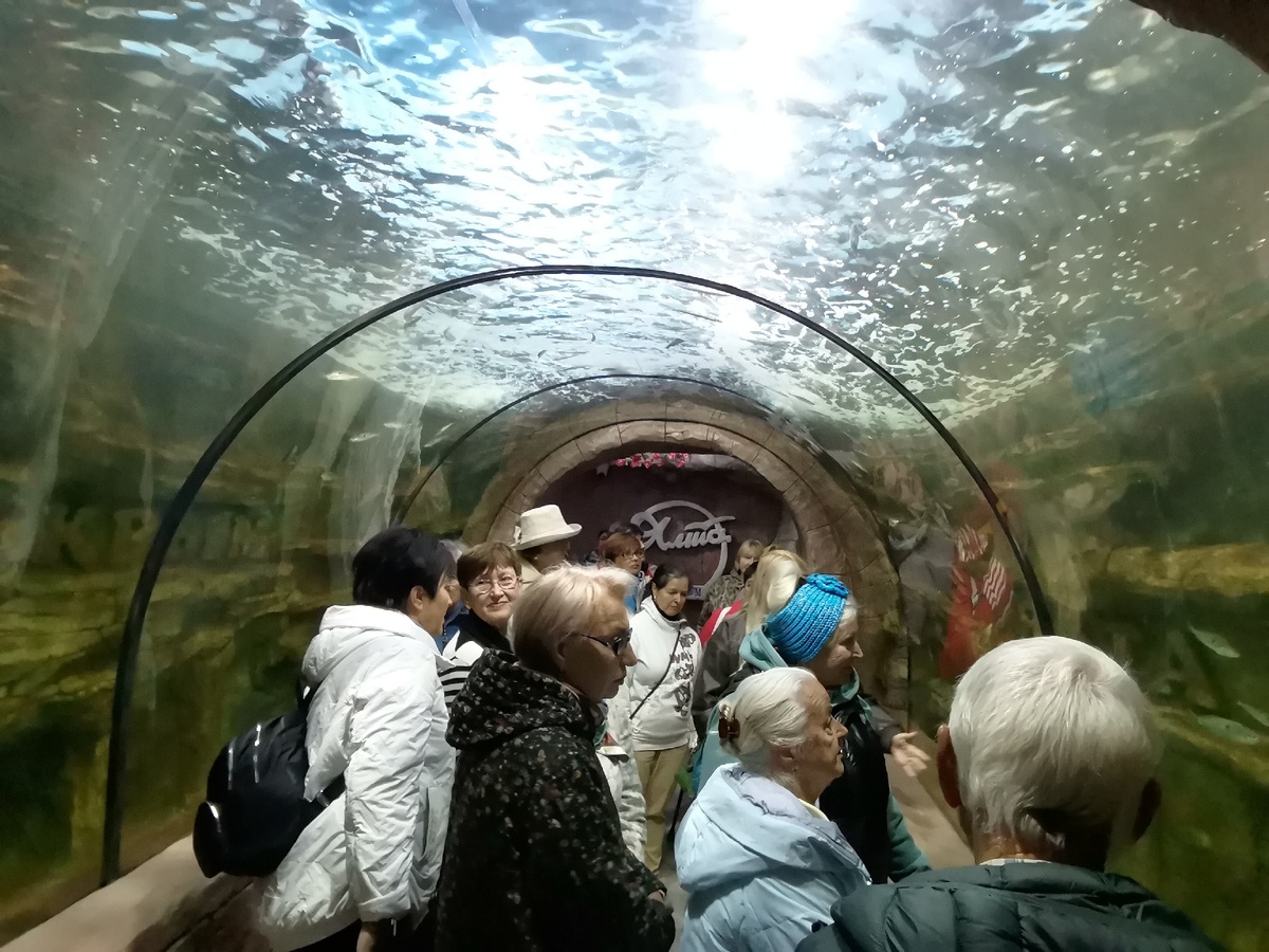 Океанариум. Прозрачный туннель. 