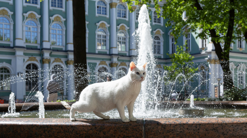    Фото: Светлана Рагина, Государственный Эрмитаж.